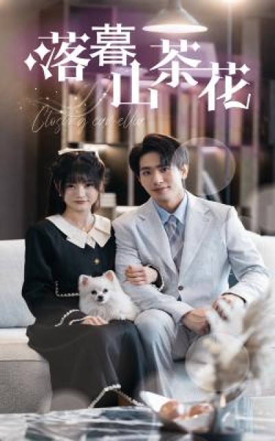 短剧《落幕山茶花》全剧呈现,超清画质畅享,后续已完结,一口气看完