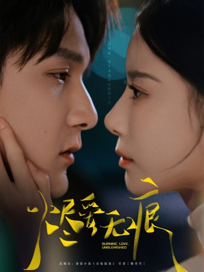 短剧《烬爱无痕》 免费观看高清全集，完整版大结局已完结！