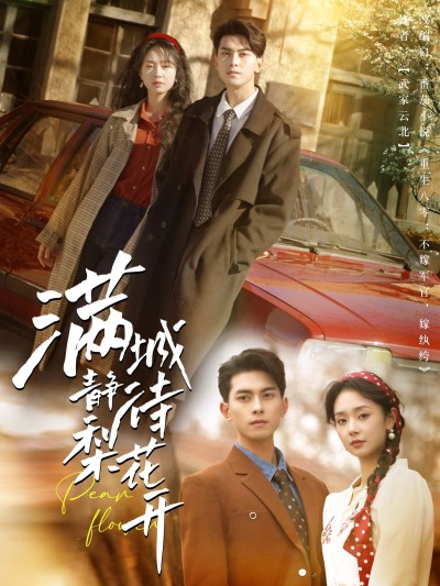 短剧《满城静待梨花开》 高清短剧全集免费在线，完整版观看更畅快