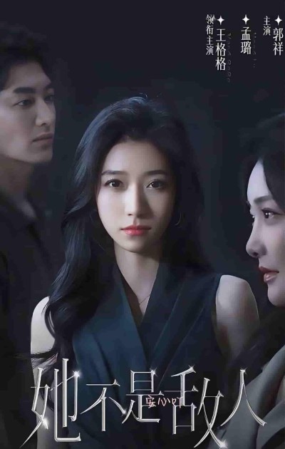 短剧《她不是敌人》 全集免费在线，高清画质，大结局震撼揭晓
