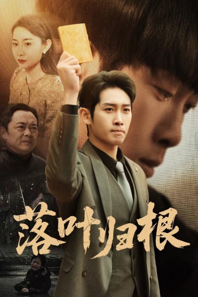 短剧《落叶归根》 不花一分钱，轻松解锁全集，一次性领略故事精髓