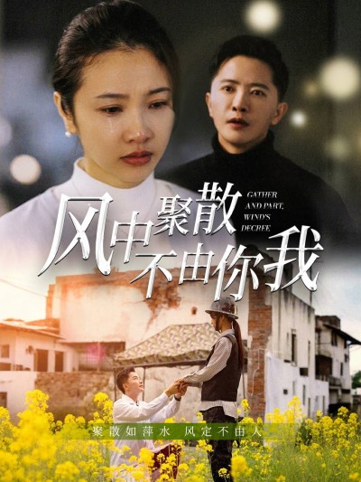 《风中聚散不由你我》短剧高清全集免费在线，速看完整版