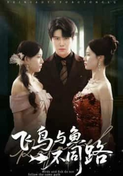 热门短剧飞鸟与鱼不同路全集未删减,免费无卡顿在线观看,百度夸克网盘免费资源分享下载。