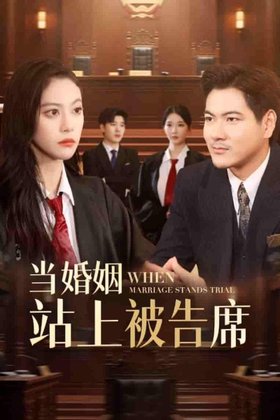 短剧《当婚姻站上被告席》 全集免费在线，高清画质，大结局震撼揭晓