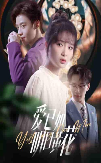 短剧《爱已如明日黄花》 高清短剧全集免费看，完整版在线无束缚随心享
