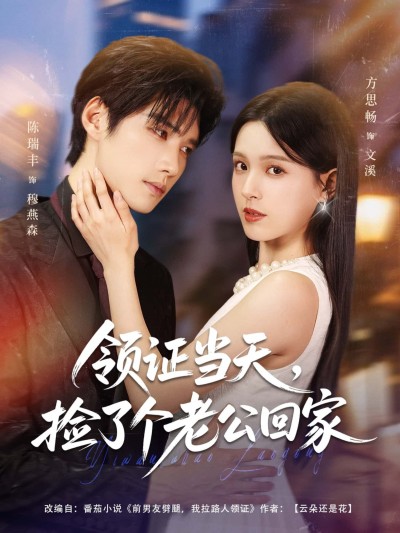 短剧 《领证当天，捡了个老公回家》 1080P 高清完整全集完整版在线看