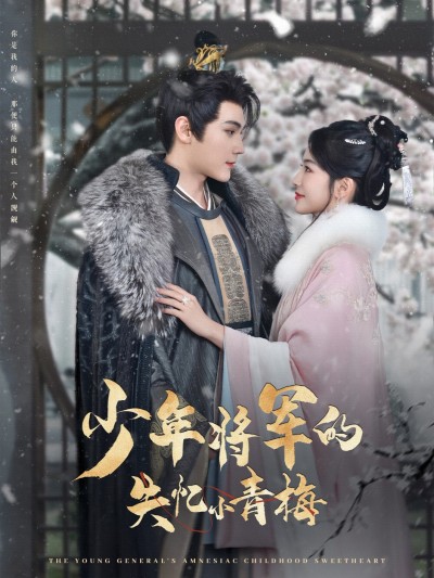 短剧《少年将军的失忆小青梅》 短剧全集在线，免费高清观看，大结局震撼来袭！