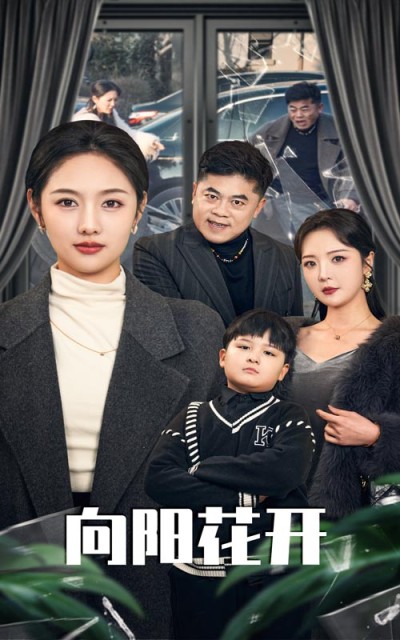 《溺爱的代价&向阳花开》短剧高清全集免费在线观看播放完整版