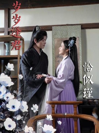 《岁岁逢君恰似瑾》短剧高清全集免费在线，速看完整版