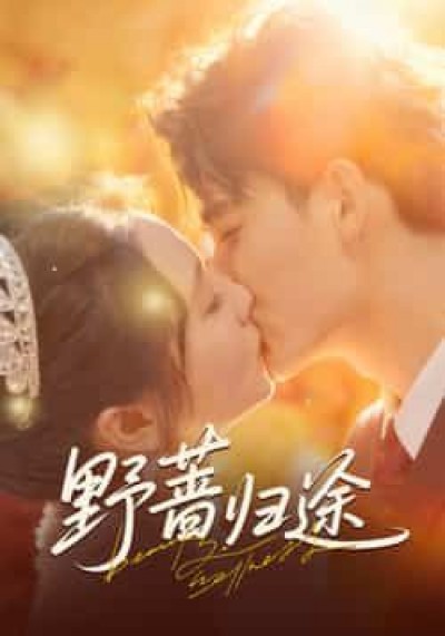 热门短剧野蔷归途全集完整版更新，免费在线观看未删减版，百度/夸克网盘免费资源分享下载。