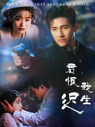 《君恨我生迟》短剧高清全集免费在线，速看完整版
