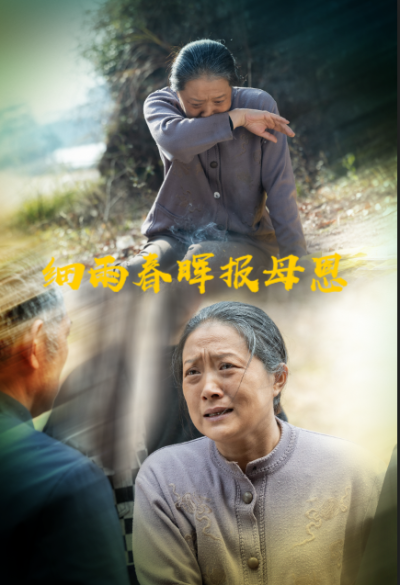 短剧《细雨春晖报母恩》 高清无码！全集免费在线观看，大结局已完结