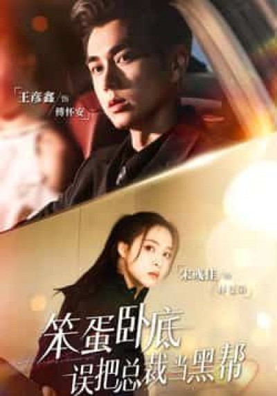 笨蛋卧底,误把总裁当黑帮全集完整版未删减,免费在线观看,百度夸克网盘资源分享下载。