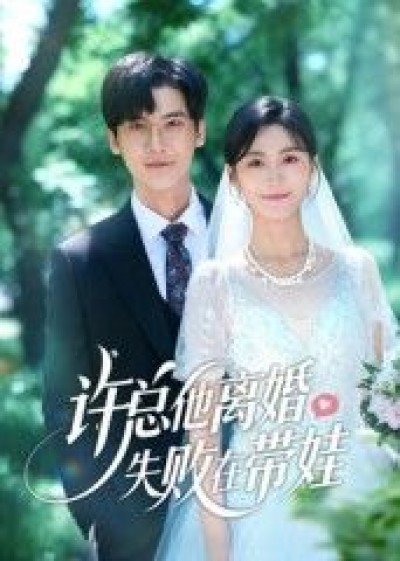 短剧 《许总他离婚失败在带娃》 1080P 高清全集完整版在线播放