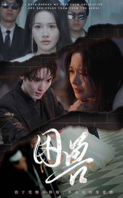 《困兽》短剧高清全集免费在线观看播放完整版