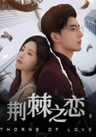 短剧《荆棘之恋》 高清短剧全集免费看，完整版在线随心观看无限制