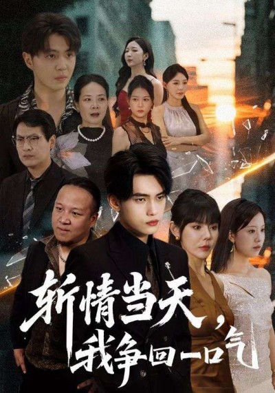 短剧 《斩情当天我争回一口气》 超高清全集完整版免费在线播放