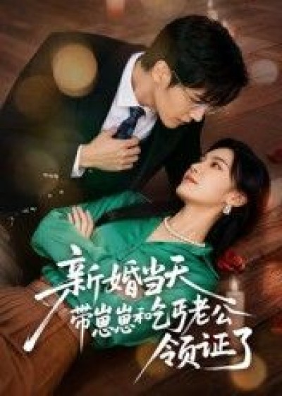 短剧新婚当天带崽崽和乞丐老公领证了在线播放，高清完整全集无删减版！