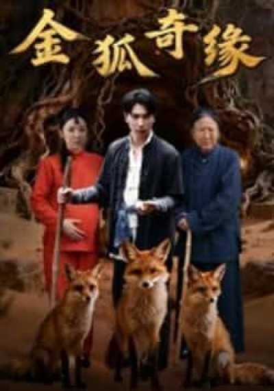 热门短剧金狐奇缘全集完整版免费无水印在线观看未删减版,百度夸克网盘免费资源分享下载。