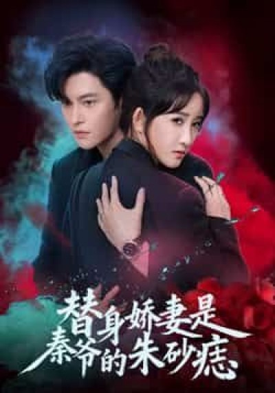 热门短剧替身娇妻是秦爷的朱砂痣全集完整版免费在线观看，未删减版百度夸克网盘速存分享下载。