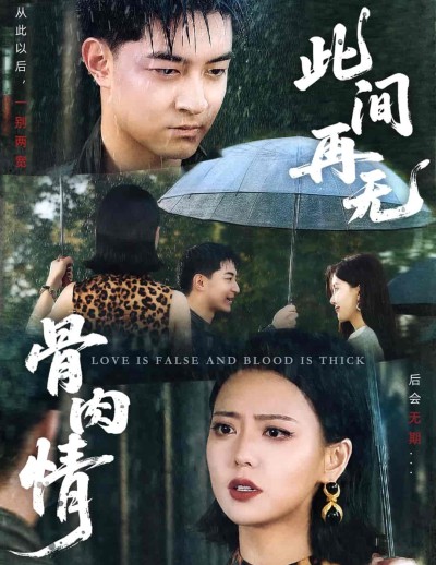短剧《此间再无骨肉情》 短剧全集免费看，高清在线播放，大结局已完结！