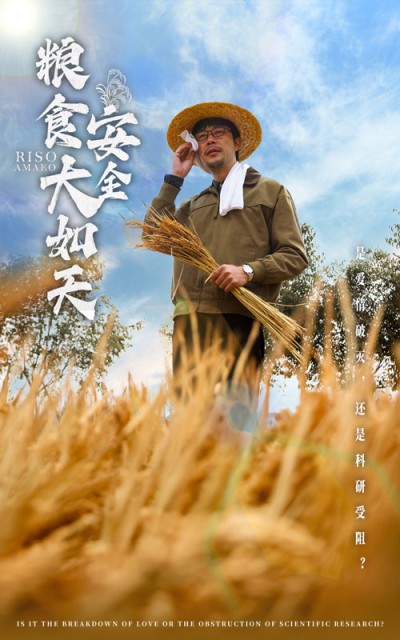 短剧《粮食安全大如天》全剧呈现,超清画质畅享,后续已完结,一口气看完