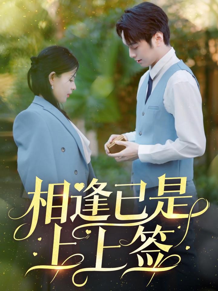 《相逢已是上上签》短剧高清全集免费在线观看播放完整版  第1张