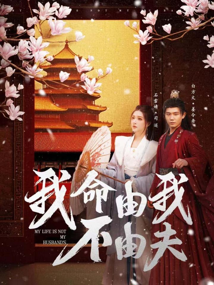 《我命由我不由夫》短剧高清全集免费在线，速看完整版  第1张