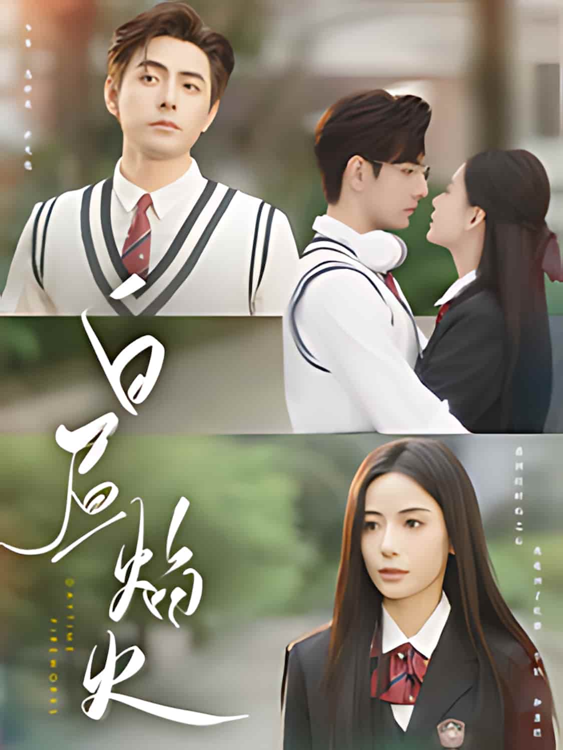 《白昼焰火》短剧高清全集免费在线，速看完整版  第1张