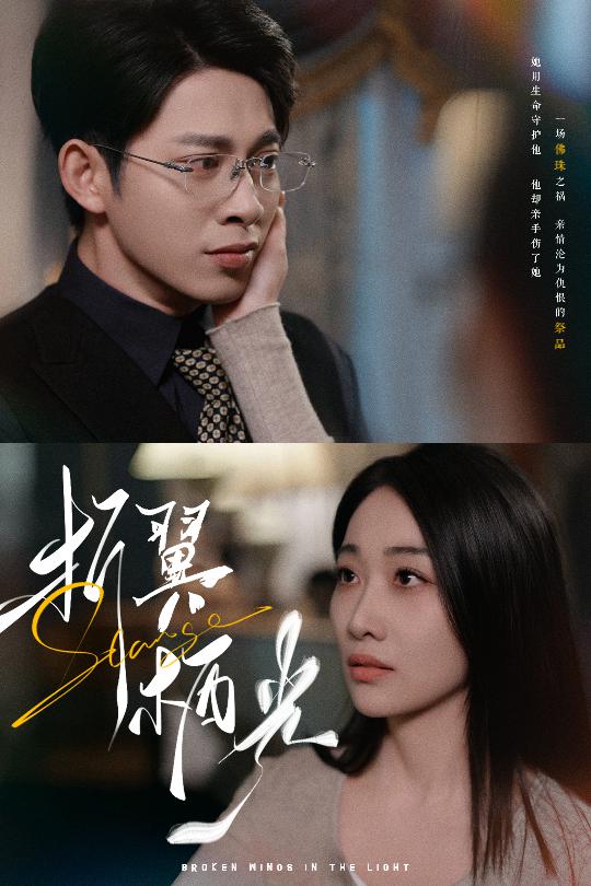《折翼栖光》短剧高清全集免费在线，速看完整版  第1张