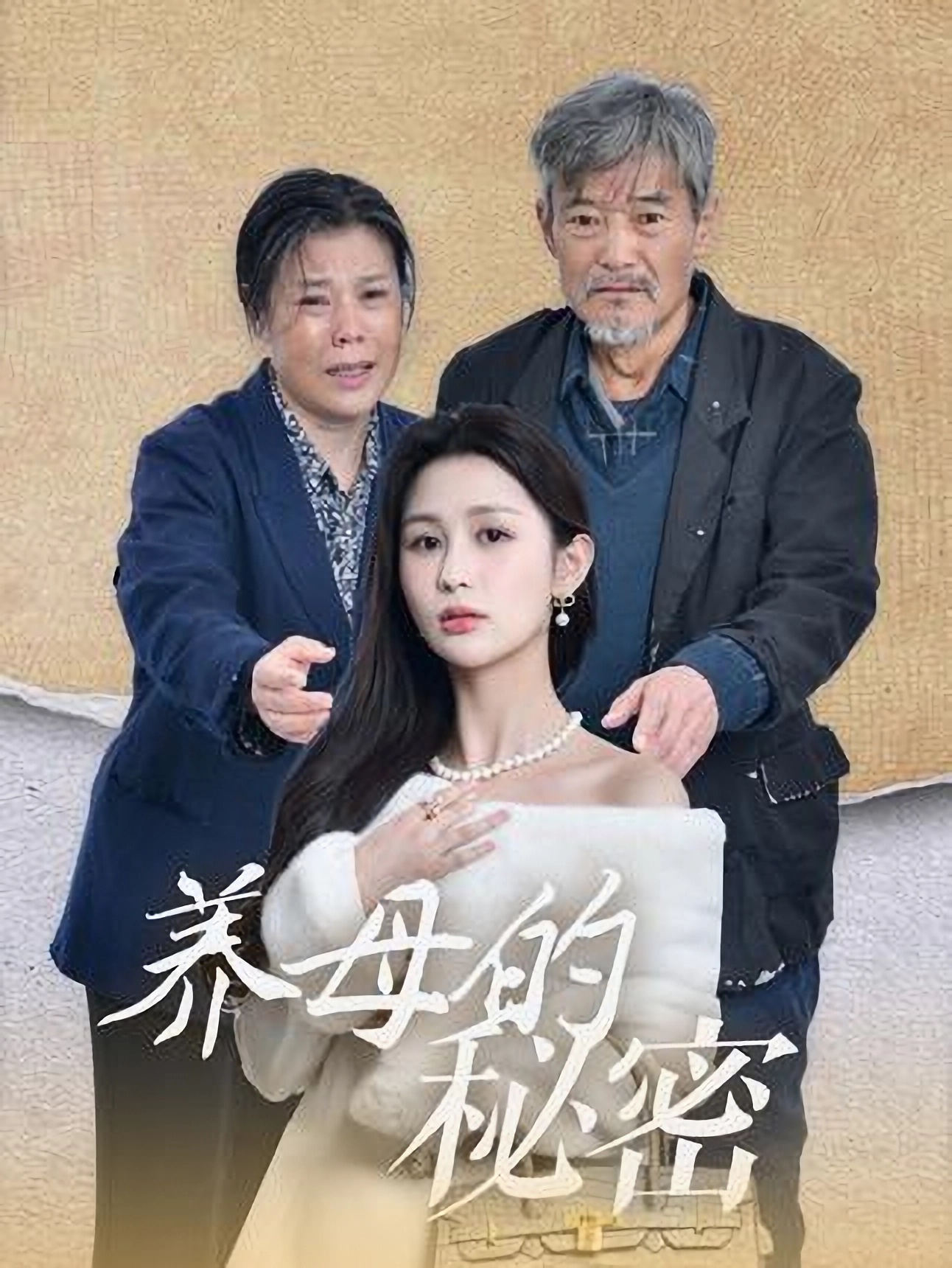 养母的秘密  第1张