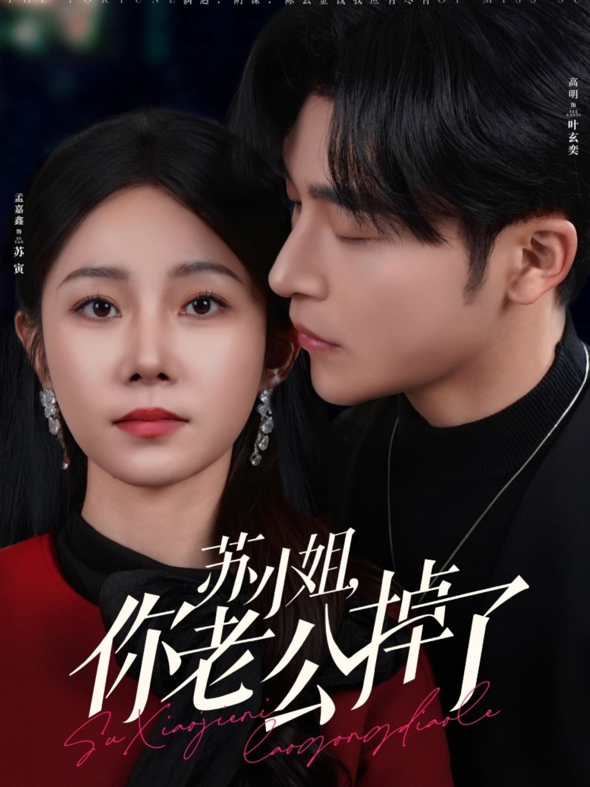苏小姐你老公掉了  第1张
