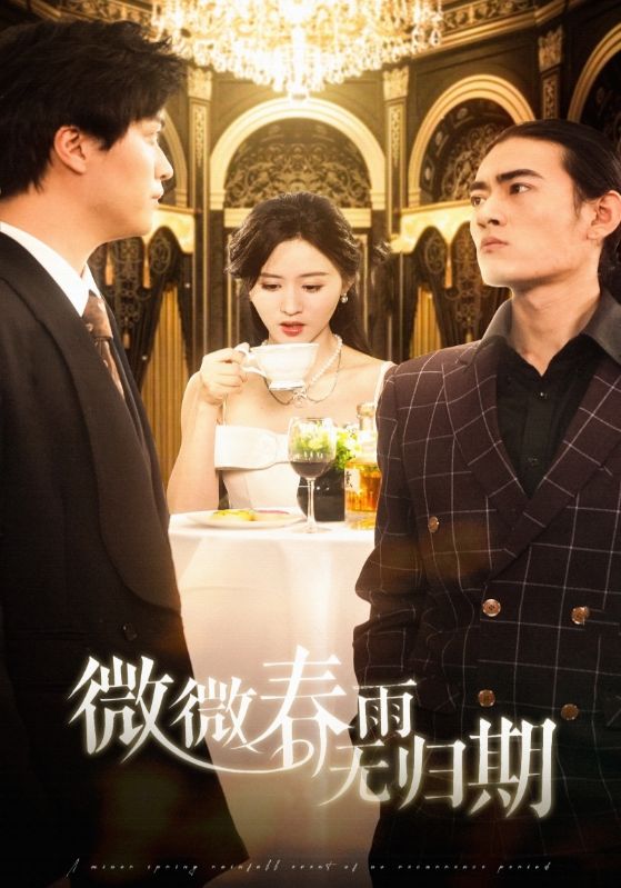 短剧《微微春雨无归期》 高清短剧全集在线，免费完整版随心看  第1张