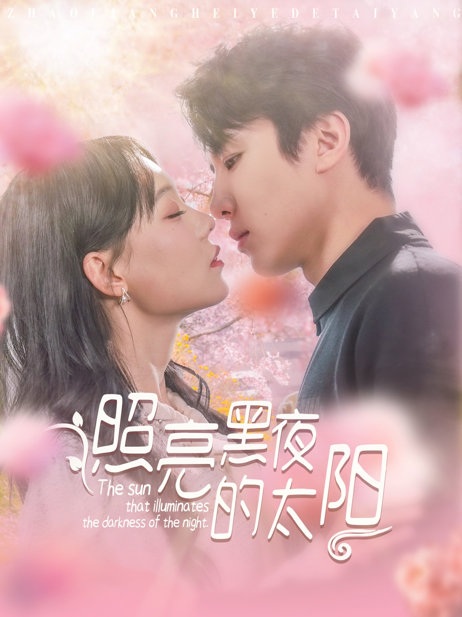短剧《照亮黑夜的太阳》 免费观看高清全集，在线播放完整版，大结局已完结！  第1张