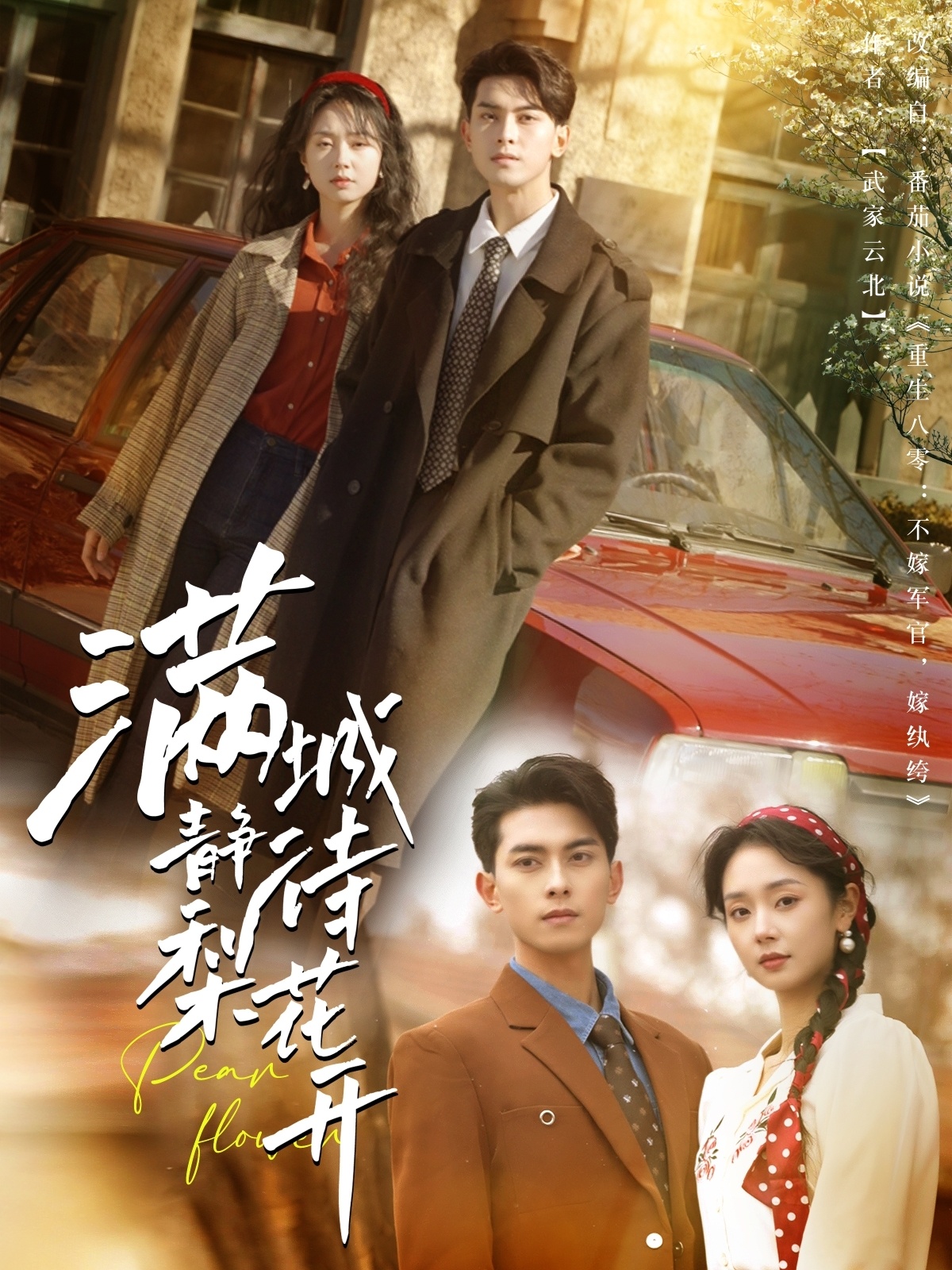 短剧《满城静待梨花开》 高清短剧全集免费在线，完整版观看更畅快  第1张