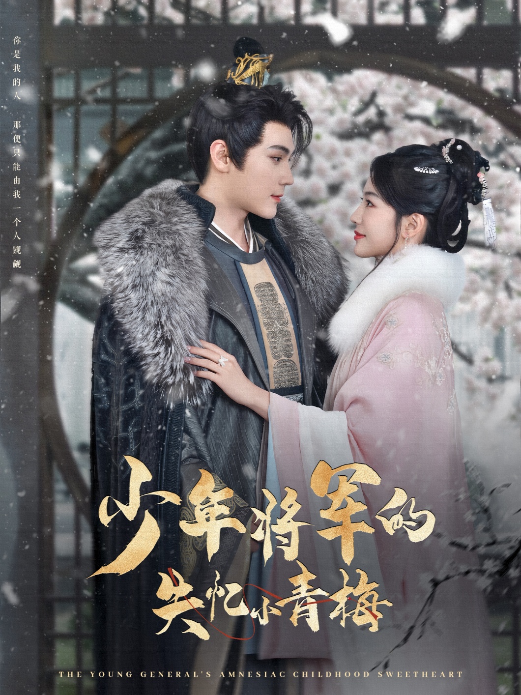 短剧《少年将军的失忆小青梅》 短剧全集在线，免费高清观看，大结局震撼来袭！  第1张