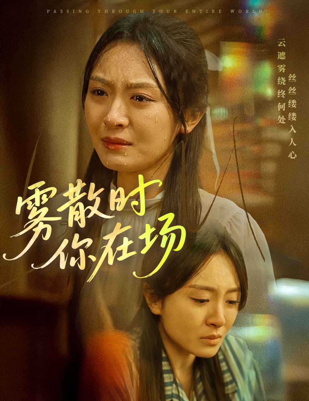 雾散时你在场  第1张