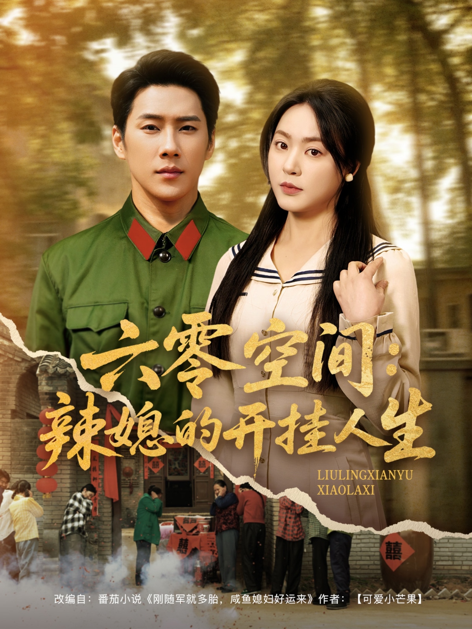 六零空间：辣媳的开挂人生  第1张