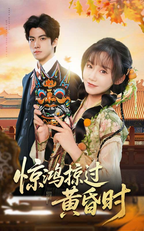 惊鸿掠过黄昏时  第1张