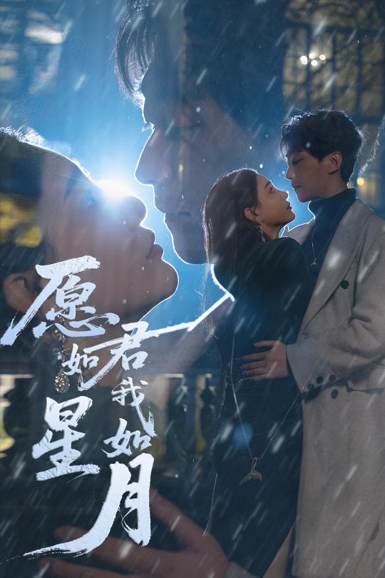 愿君如星我如月  第1张