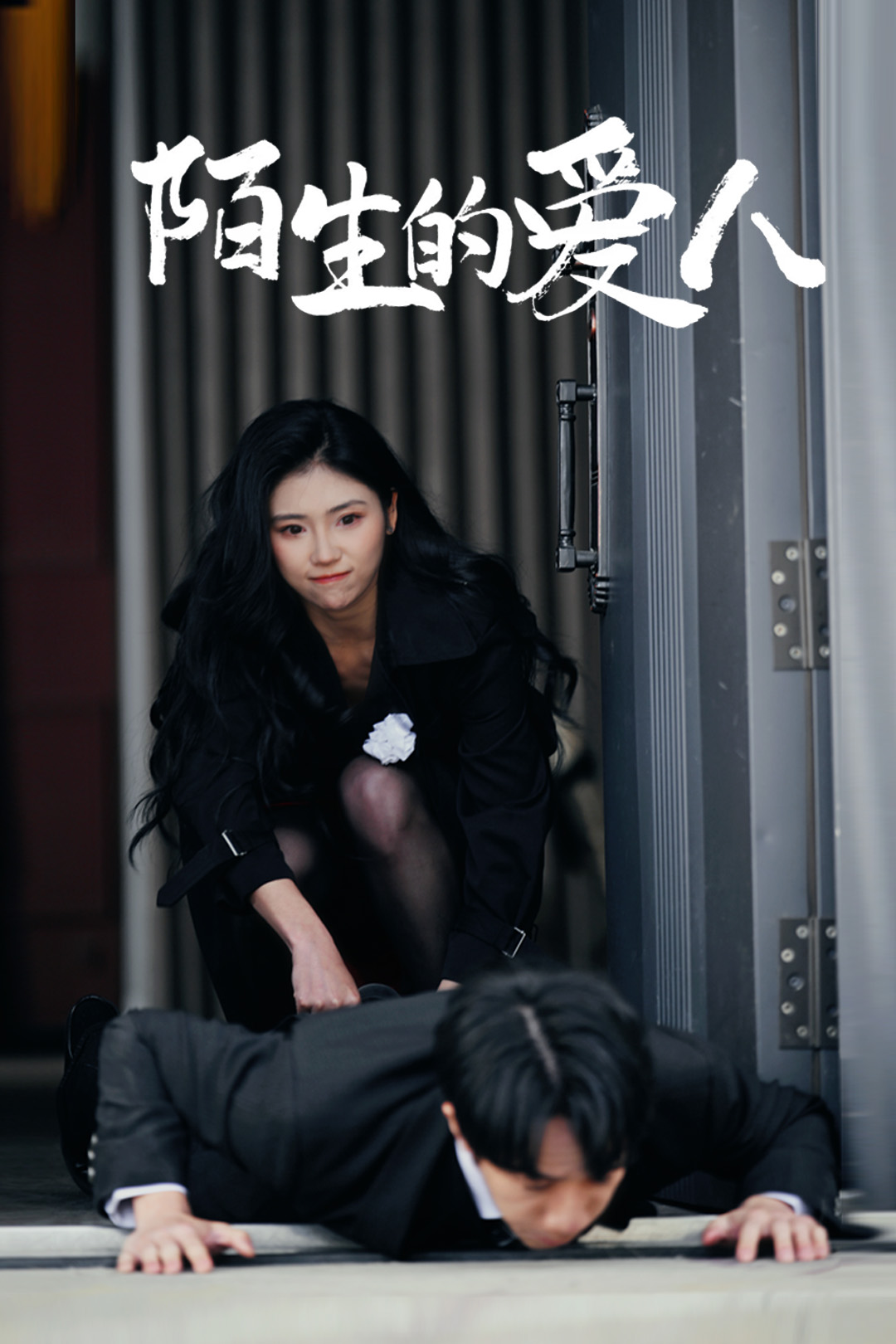 短剧《陌生的爱人》 高清无码！全集免费在线观看，大结局震撼来袭  第1张