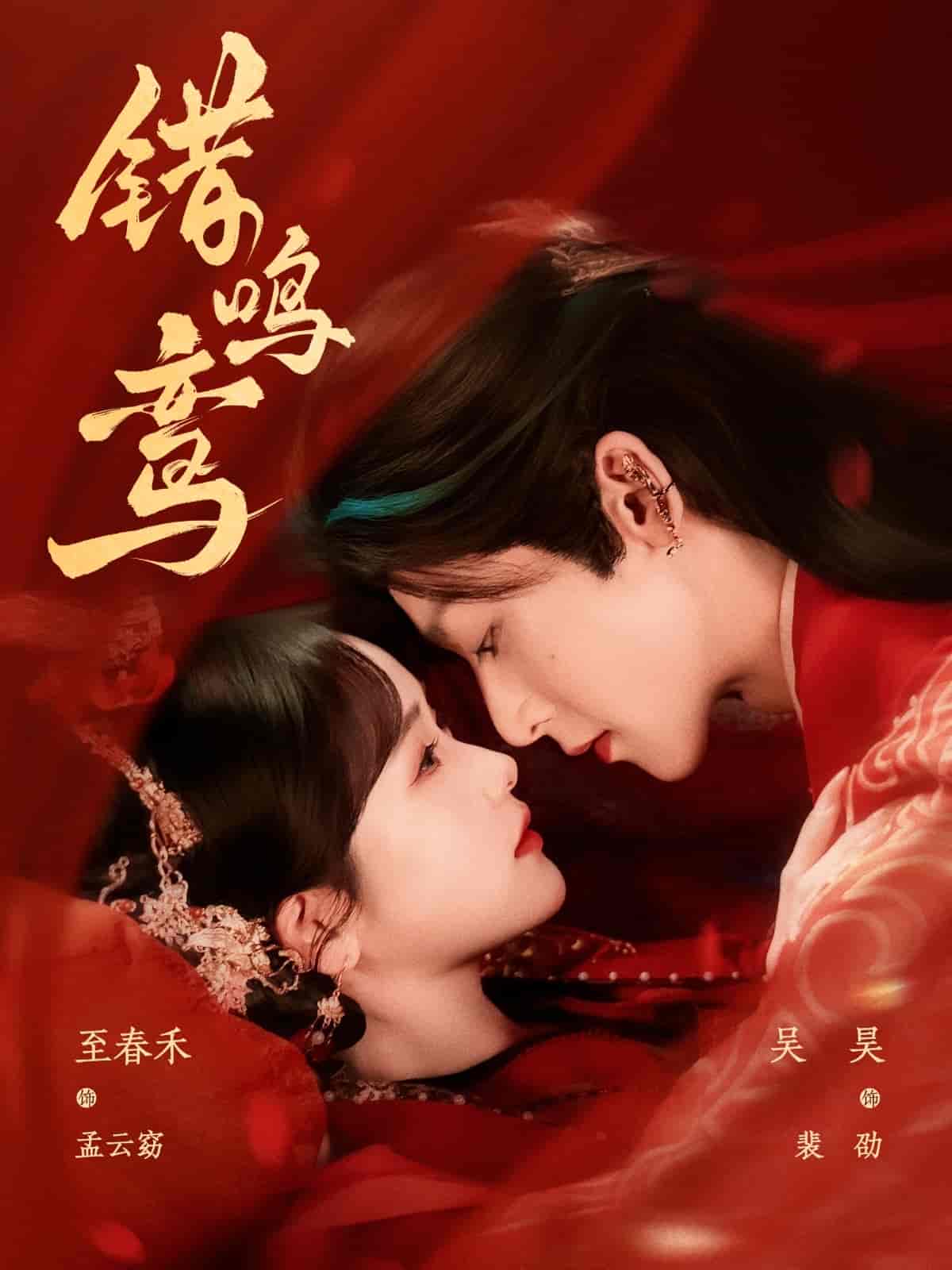 短剧《错鸣鸾》 全集免费在线，高清画质，大结局震撼揭晓  第1张