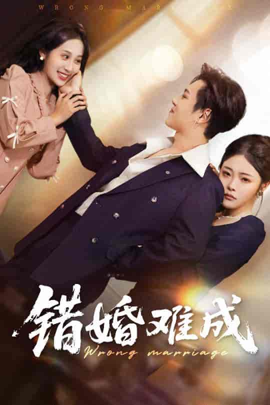 短剧《错婚难成》 免费看全集，高清在线播放，完整版大结局已完结！  第1张