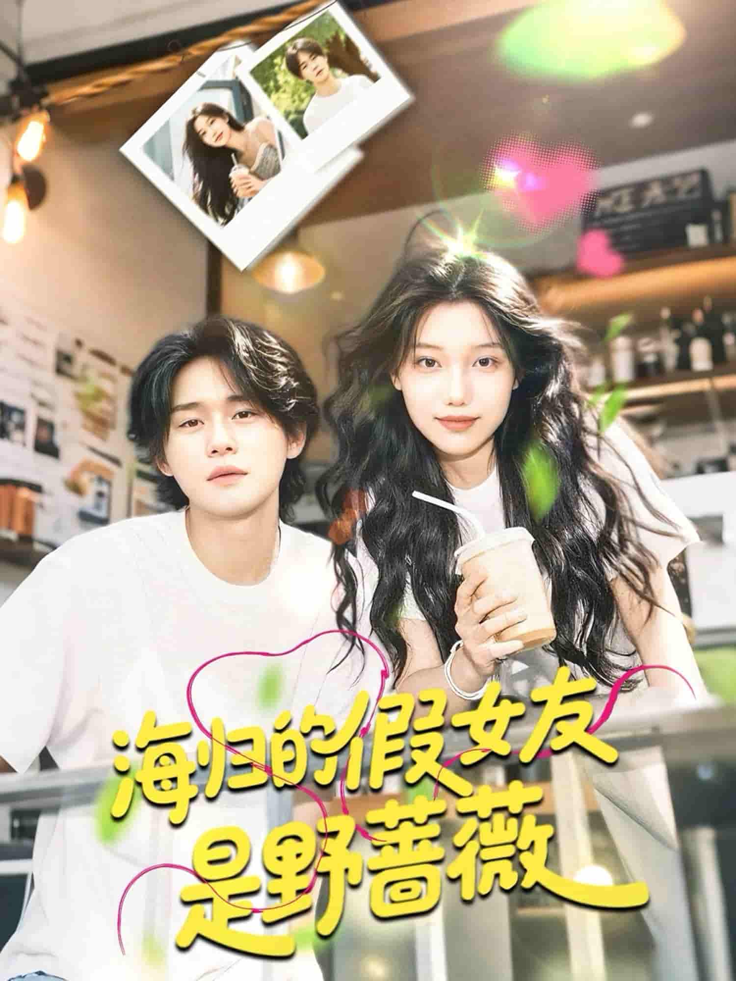 短剧《海归的假女友是野蔷薇＆海归的假女友是奶茶妹》 短剧全集免费看，高清在线播放，大结局震撼！  第1张