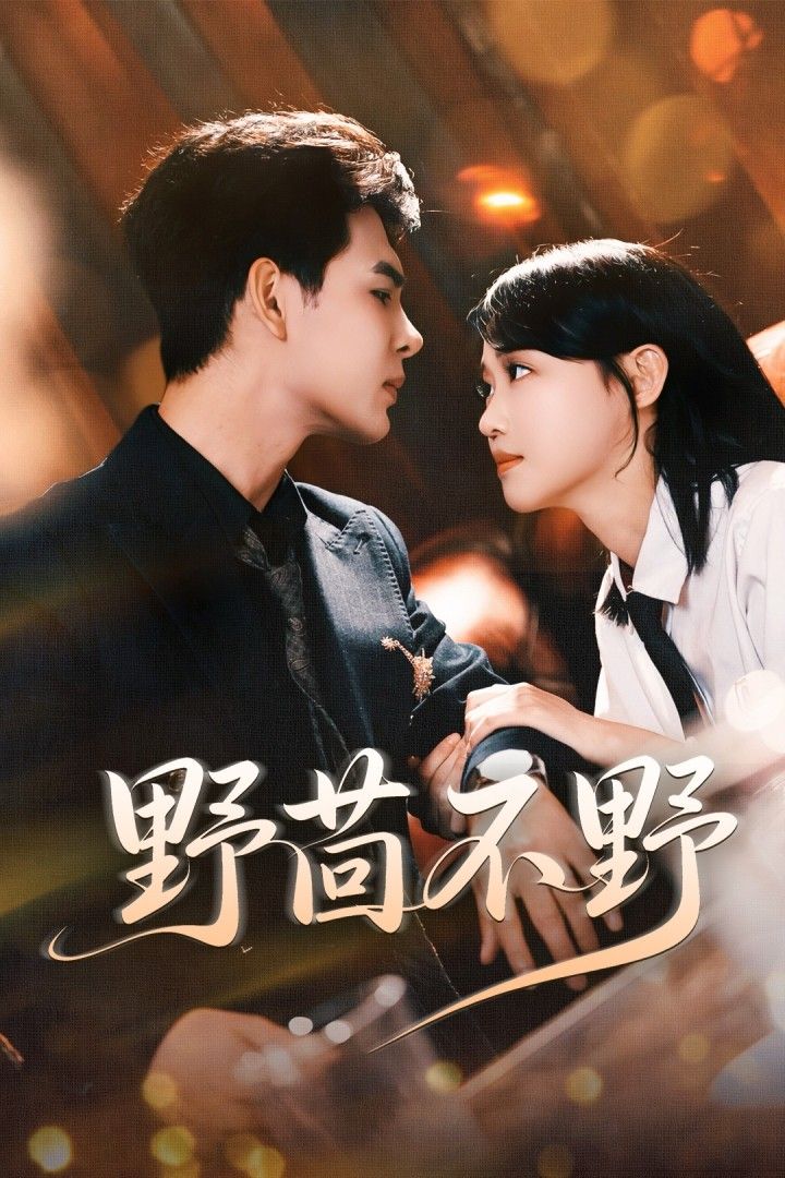 短剧野茴不野高清全集无删减版，在线免费播放。  第1张