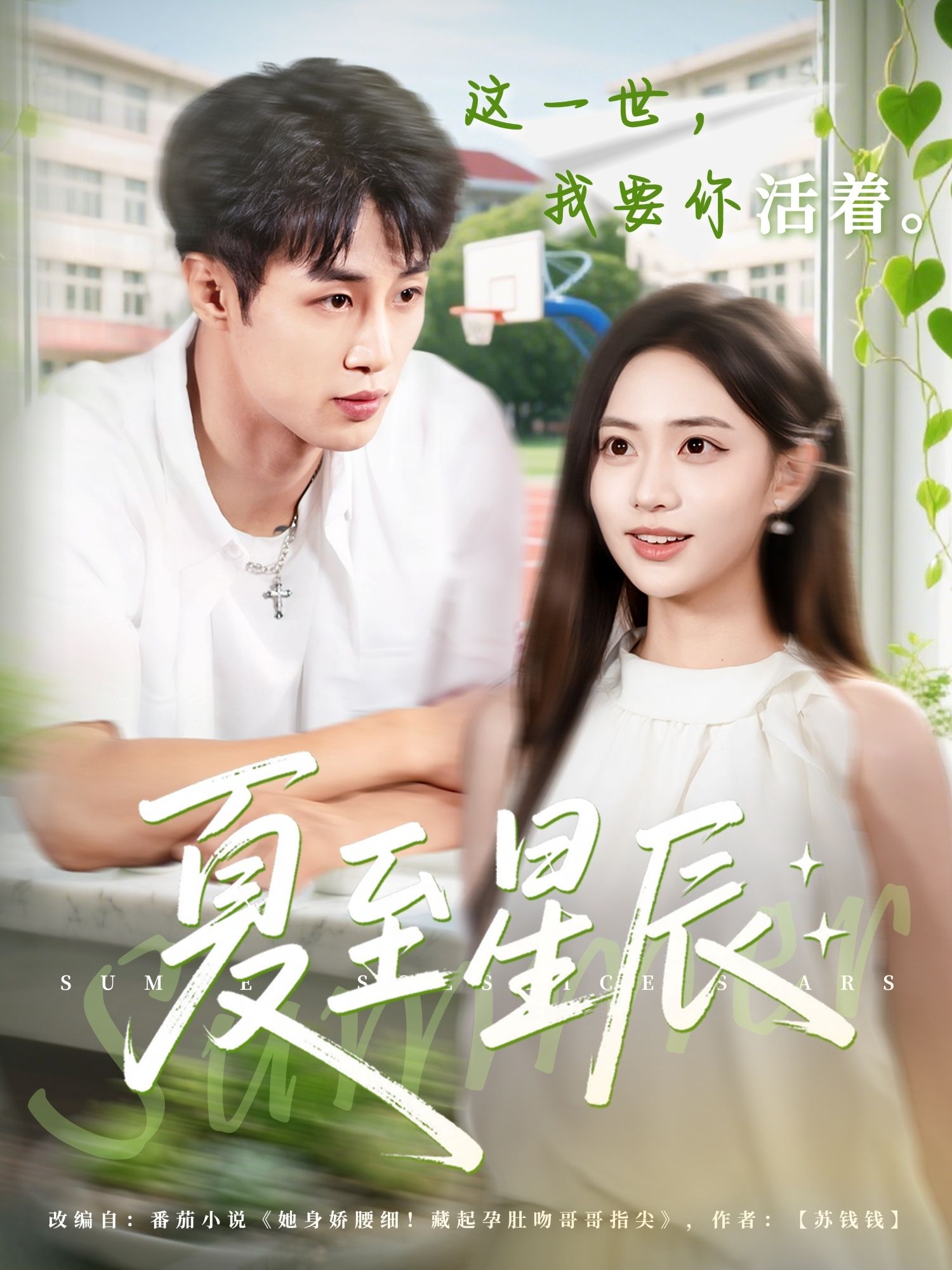 短剧 《夏至星辰》 高清无删减全集完整版在线观看  第1张 短剧 《夏至星辰》 高清无删减全集完整版在线观看  第1张