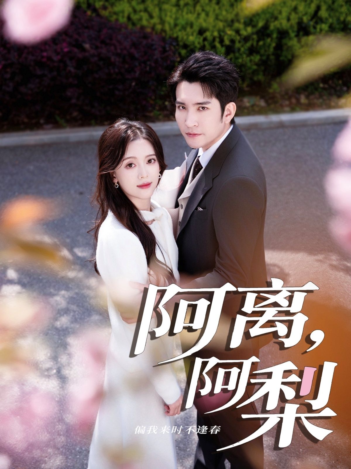 短剧 《阿离阿梨》 1080P 超高清全集完整版在线观看  第1张