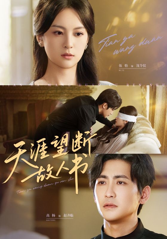 短剧 《天涯望断故人书》 高清作品全集免费在线，完整版观看更畅快  第1张