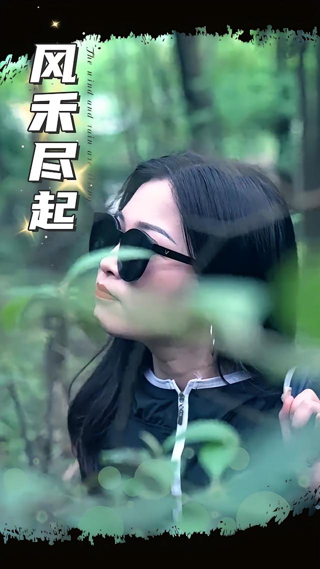 短剧 《风禾尽起》 高清资源全集免费在线观，完整版尽享视听  第1张
