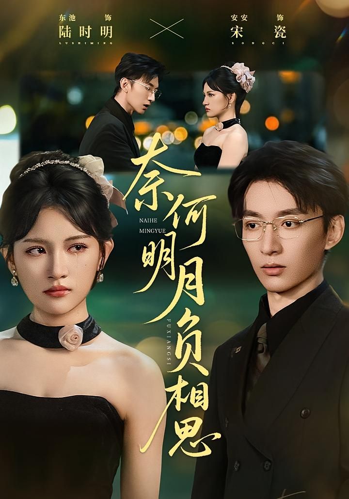 短剧 《奈何明月负相思》 1080P 超高清全集完整版在线观看  第1张